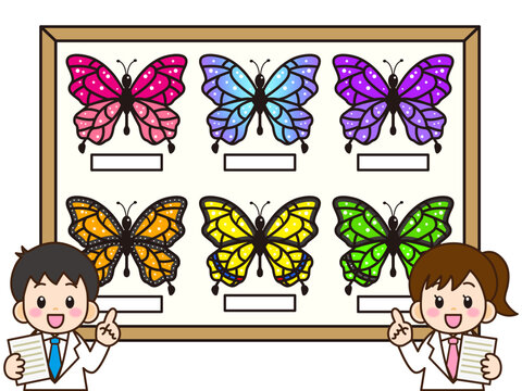 モルフォ蝶 Images – Browse 156 Stock Photos, Vectors, and Video