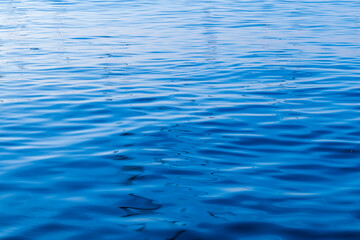 Deep Blue Water Ripples and Gentle Waves Surface Background,A high-angle, full-frame shot of serene blue water surface featuring gentle ripples and flowing wave patterns. The vibrant blue tones and