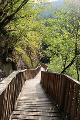 Obraz premium Horma Canyon, Kure Mountains National Park. Kastamonu, Turkey.