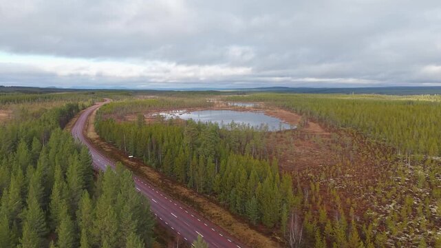 Swedish road in the woods 