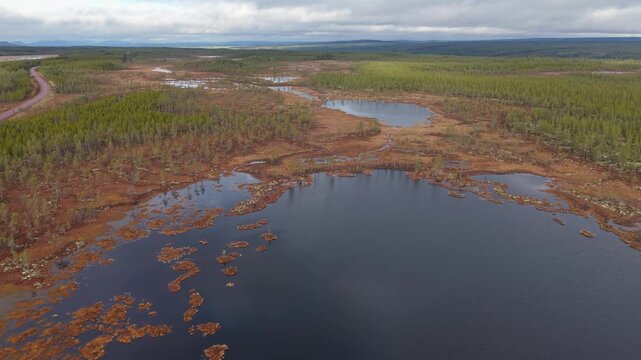 Swedish road in the woods 