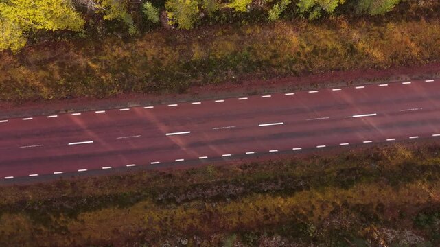 Swedish road in the woods 