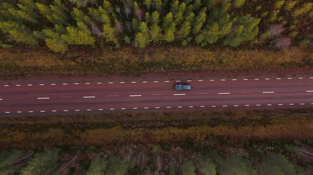 Swedish road in the woods 