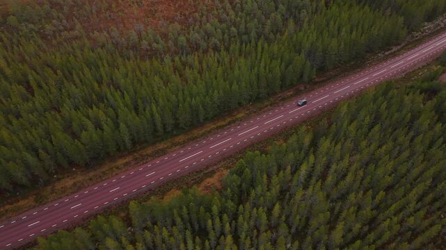 Swedish road in the woods 