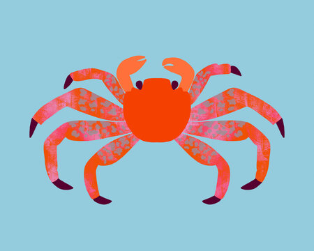 Crab with speckled legs on blue 