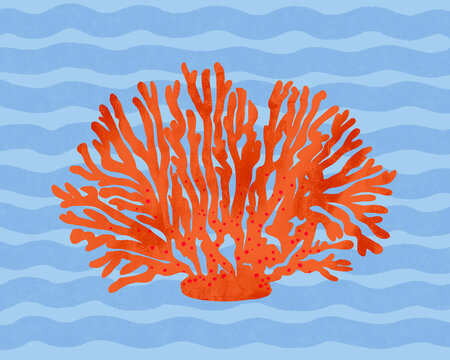 Stylised illustration of coral centred against soft blue background