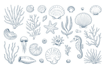 Vintage marine life collection with coral seashell and seahorse ink sketch style isolated. © Songrami