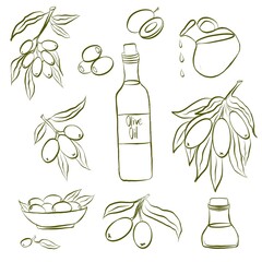 Set of olive oil and olives with leaves. Line art. 