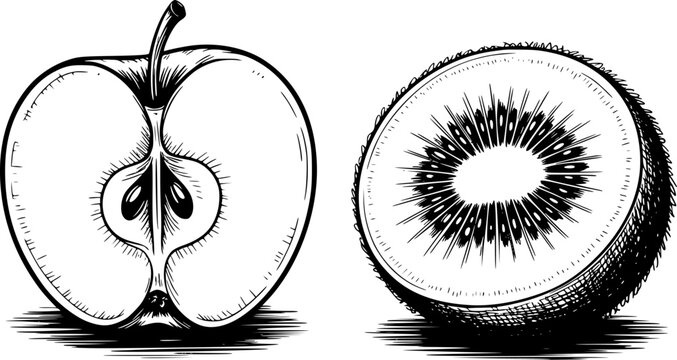 Detailed black and white of a halved apple and a sliced kiwi fruit half
