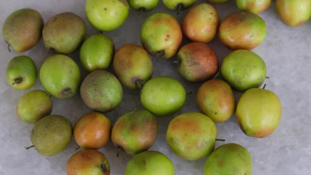 High angle view of fresh jujube or ber fruits spread out on a white surface