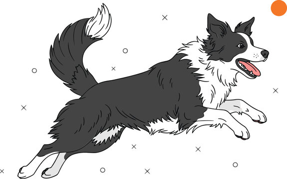 Border collie dog running and jumping energetic pet flat vector illustration isolated on light background