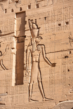 Detailed Ancient Egyptian Relief of Falcon God Horus and Hieroglyphics on Sandstone Wall at Philae Temple in Aswan Egypt