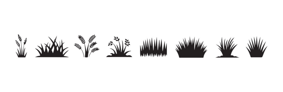 Collection of various grass and cereal plants silhouette isolated on white background