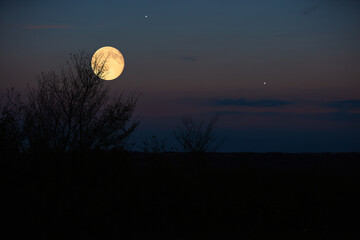 Full Moon, stars, planets and landscape scenery silhouettes.