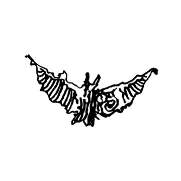 bat on a white background
