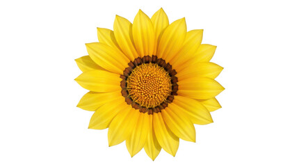 Naklejka premium Top view of a bright yellow Gazania daisy flower, full bloom. Isolated on transparent background, png