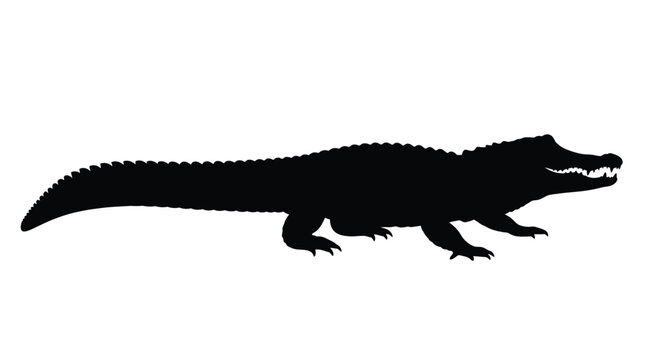 Silhouette of an alligator resting on a white background
