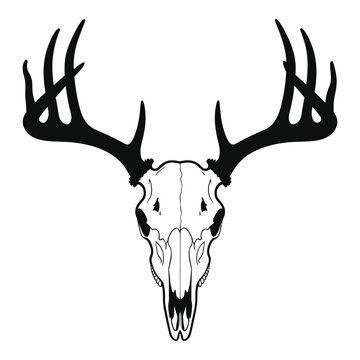 deer head silhouette