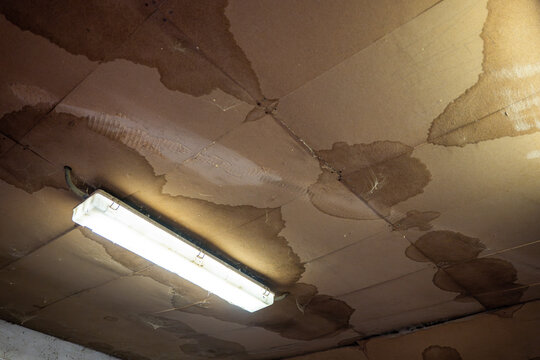 Water damaged ceiling with large wet stains and fluorescent light. Leaking roof causing moisture damage and electrical hazard inside building.