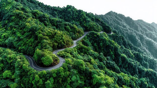 Curvy mountain road snaking through dense green forest  Mountain