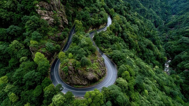 Curvy mountain road snaking through dense green forest  Mountain