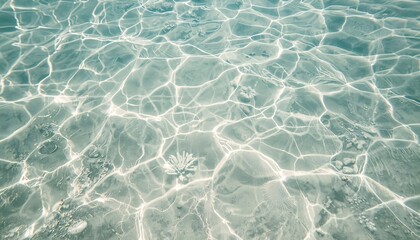 Underwater Sand Seabed Texture with Natural Light Patterns