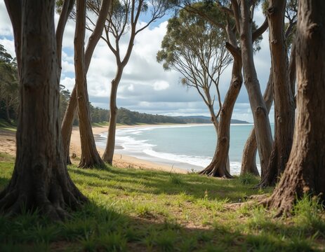Eucalyptus trees frame a sandy beach with calm ocean waves. Rich green grass covers the foreground hillsides. Gentle surf laps onto the shore under a partly cloudy sky.