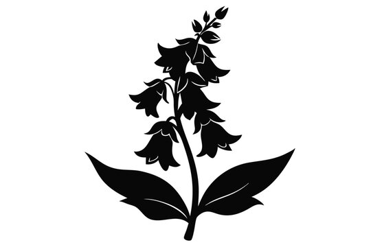 penstemon silhouette line art vector illustration