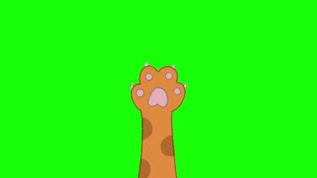cat hand animation on green background
