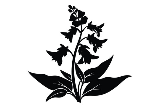 penstemon silhouette line art vector illustration