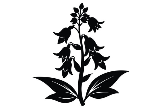penstemon silhouette line art vector illustration