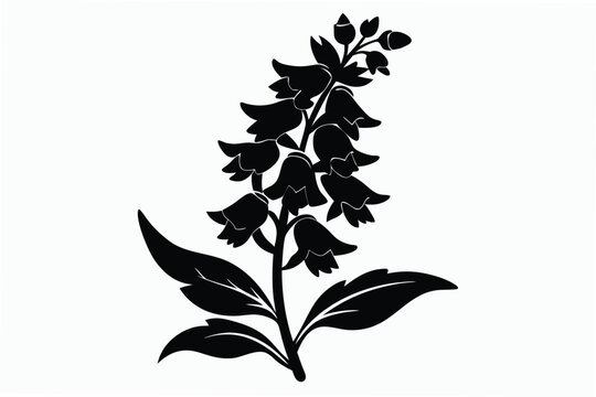 penstemon silhouette line art vector illustration