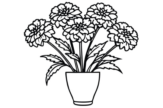marigold vase silhouette line art vector illustration