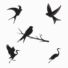 Obraz premium A comprehensive collection of wild bird silhouettes featuring flying animals like doves, pigeons, and seagulls in a black vector illustration set designed for nature and wildlife flight icons