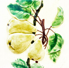 Detail of the traditional tiles from facade of old house. Decorative tiles.Valencian traditional tiles. Floral ornament.