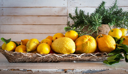 Various lemon fruits in a basket and fresh rosemary on white vintage wood. 