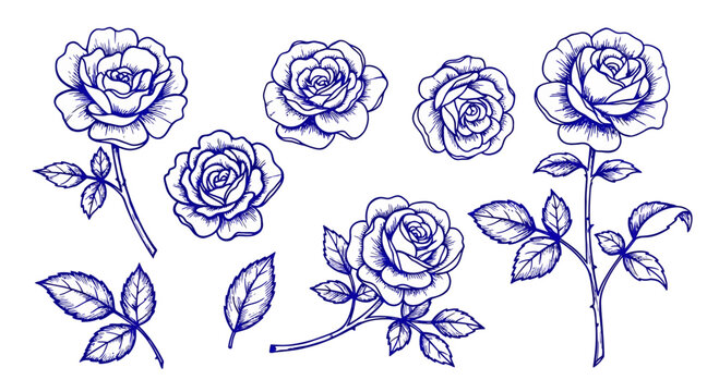 Collection of hand drawn blue rose illustrations with leaves.