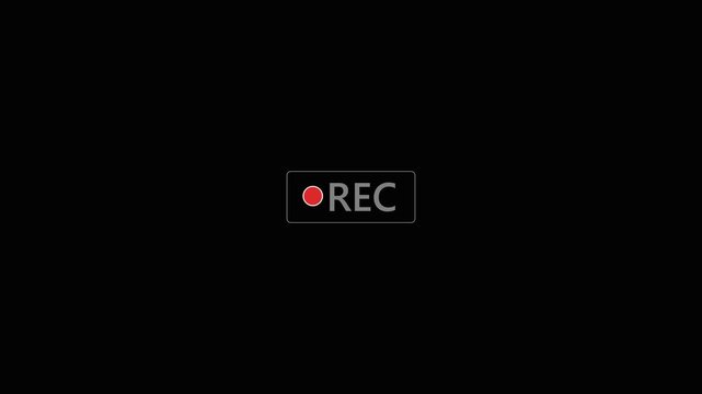Recording button animation on a transparent background, framed recording sign, video camera viewfinder overlay sign, recording video button, broadcasting, camera overlay, voice recorder in 4k. 
