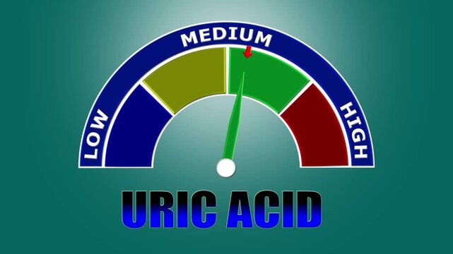 4K Animated Uric Acid Level Meter Increasing from Low to High Levels , Assessing Gout Risk and Renal Function.