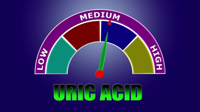 4K Animated Uric Acid Level Meter Increasing from Low to High Levels , Assessing Gout Risk and Renal Function.