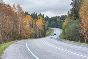 Obraz premium View of the highway in the forest. 