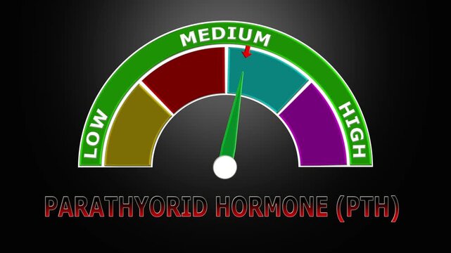 4K Animated Parathyroid Hormone (PTH) Level Meter Increasing from Low to High Levels , Monitoring Calcium Regulation and Bone Health.