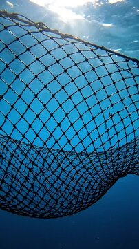 Light and Shadow Play Show the interplay of sunlight and shadows through the net's mesh.