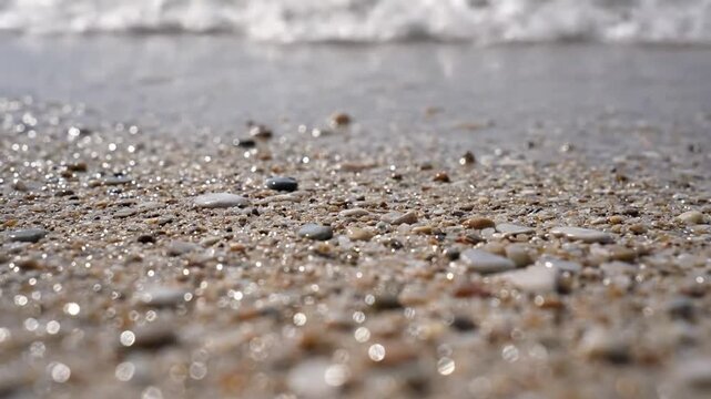 Abstract Natural Patterns Emphasize the artistic and mesmerizing arrangements found in nature's smallest components.