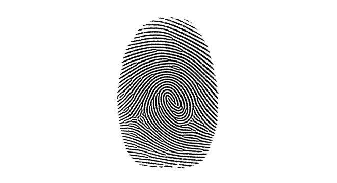 Detailed fingerprint pattern PNG isolated on transparent background, unique identification mark for security and forensic science