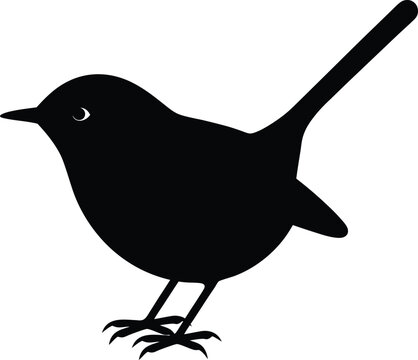 marsh wren bird silhouette vector art illustration, black and white design