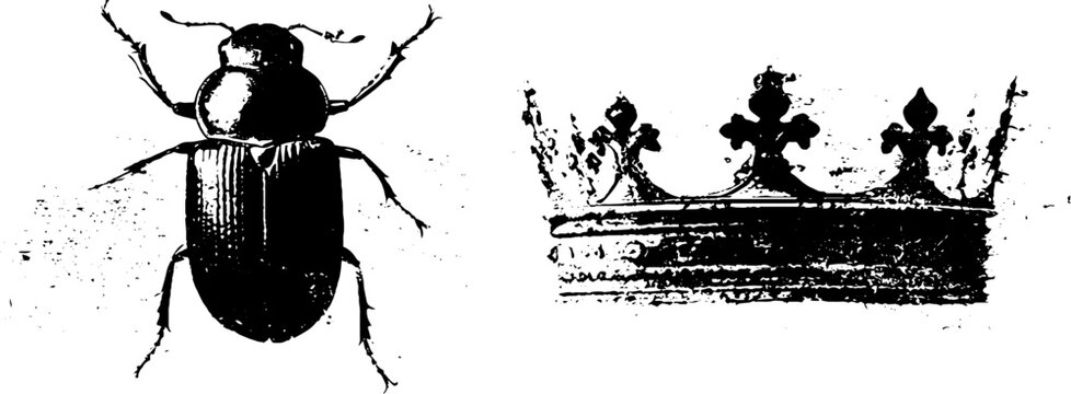 Intricate beetle and crown ink illustration in high contrast black and white