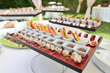 Elegant Catering Display with Gourmet Appetizers and Vegetable Crudits © Dmytro