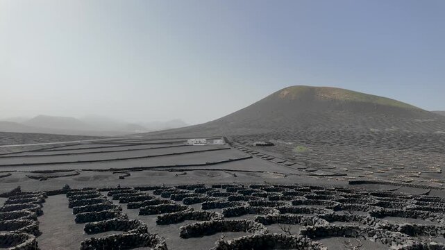 Panoramic shot of the volcanic landscape of the vineyards of La Geria in Lanzarote