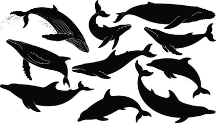 Whale silhouette collection, ocean marine mammal poses set, dolphin humpback orca wildlife vector illustration, black minimalist design isolated icons pack © Sarjina's World